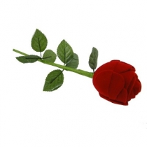 ESTOJO DE ROSA
