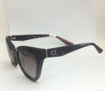 SOLAR GUESS